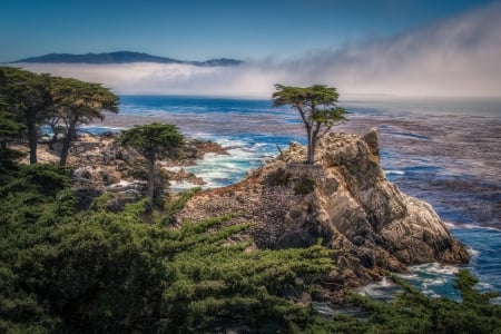 Sea - rocks -  California - california, sea, mist, rocks