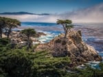 Sea - rocks -  California