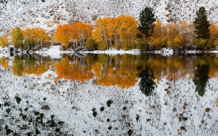 Bishop Creek - trees, nature, creek, landscape, snow, lake, reflection