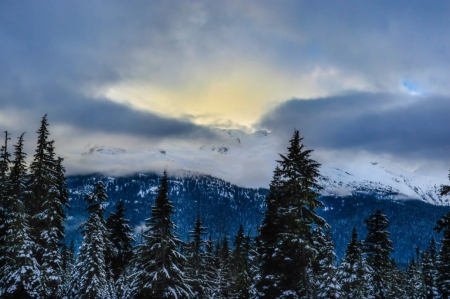 I'll come back here one Day - sky, winter, trees, nature