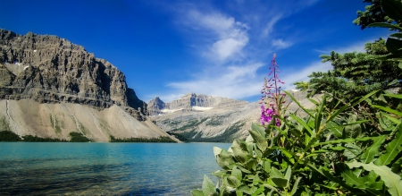 Bow lake - beautiful, landscape, lke, spring, lovely, mountain, flowers, shore, Bow, cliffs, sky, rocks