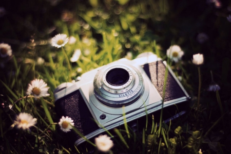 You Saved me from myself - flowers, nature, camera, soft