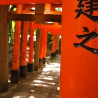 Torii Gate