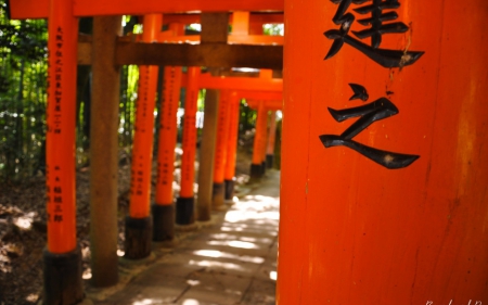 Torii Gate - shrine, gate, japan, red, temple, torii, japanese