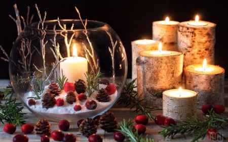 Merry Christmas! - red, candle, berry, decoration, light, craciun, christmas