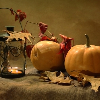 Autumn decoration