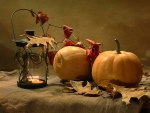 Autumn decoration