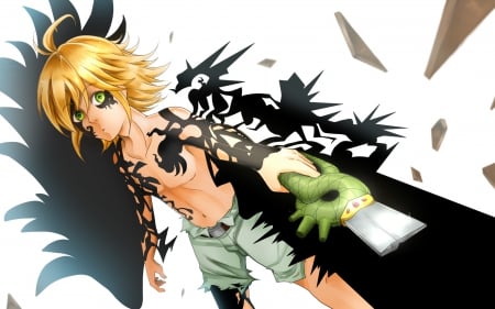 Meliodas - leader, seven deadly sins, meliodas, sin of wrath, anime, dragon, manga, dragon handle, demon