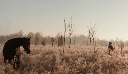 Waiting - beautiful, field, horse, girl