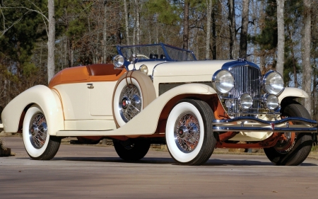 Vintage Triumph Roadster - roadster, cars, trees, triumph