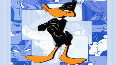 daffy duck - collage, bird, duck, daffy