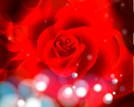 Red Rose