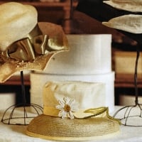 Hats in the Shop Display 1