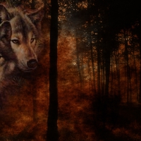 Wolves in Fall Forest