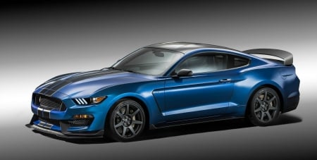 2016 Ford Mustang Shelby GT350R - stripe, shelby, ford, liquid blue