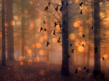 Lighting in Woodland - beautiful, flying birds, woodlands, light, bokeh, woods, surreal, trees, nature, colors, birds