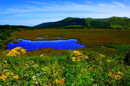 MOTHER NATURE - nature, flowers, mountain, pond