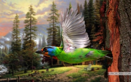 Bird in Flight in Forest - abstract, forests, birds, photography, flying, animals