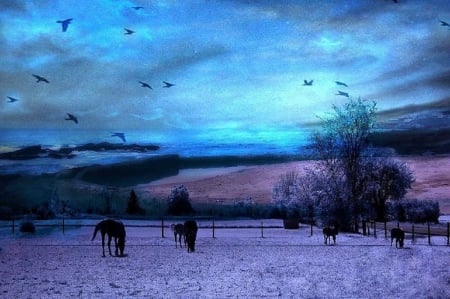 Horses in the Fields - fields, sky, trees, flying birds, lovely, nature, horses, love four seasons, blue, beautiful, colors, surreal, landscapes