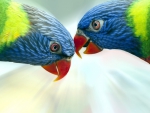 Parrots