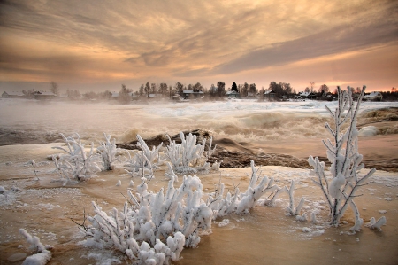 Winter - snow, clouds, winter, fog