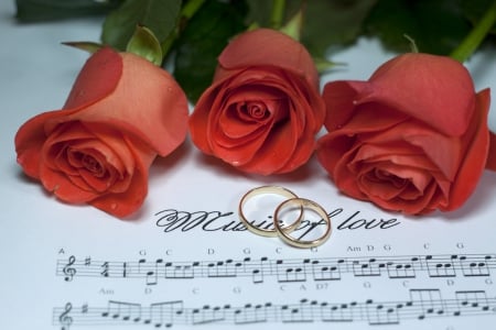 Music of Love - music, 03, roses, red