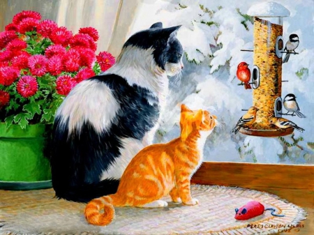 Cats - Tranquil, Delightful, Perfection, Bright