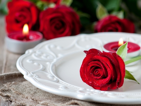 Still Life - red, candle, rose, light, photography, plate, romantic