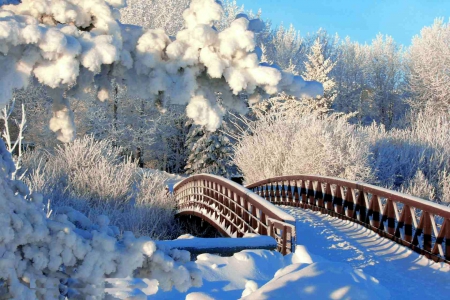 Bridge in Winter - trees, hills, landscape, snow, river