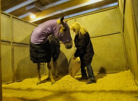 Cowgirl & Race Horse