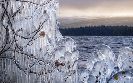 Frozen - frozen, winter, ice, water