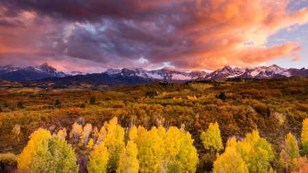 field sunset - nature, fun, cool, mountain, sunset, field