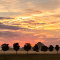 field sunset