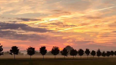 field sunset - cool, field, fun, sunset, nature