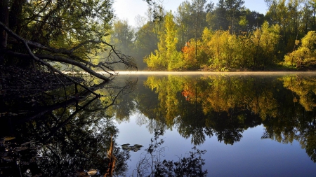 forest lake - nature, fun, lake, forest, cool