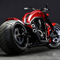 Harley V Rod