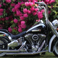2007 Harley Davidson