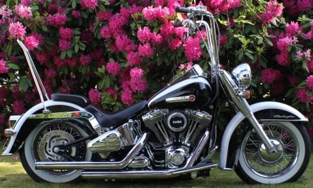 2007 Harley Davidson - lowrider, cruiser, harley, motorcycle