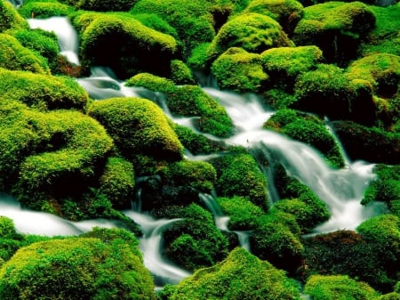 Mossy Rocky Stream - flow, stream, water, green, moss, rocks