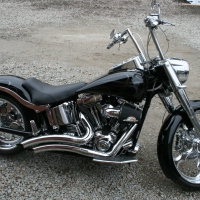 Harley Davidson Softail