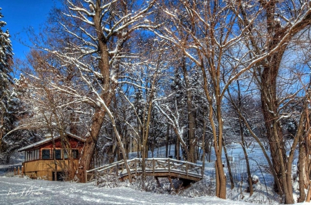 River Bridge in Winter - trees, cabin, snow, landscape