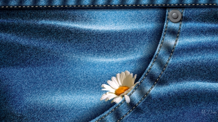 Daisy in My Pocket