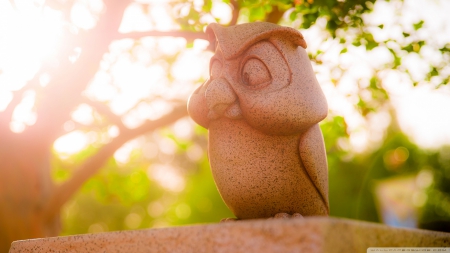 owl statue - statue, tree, owl, bird