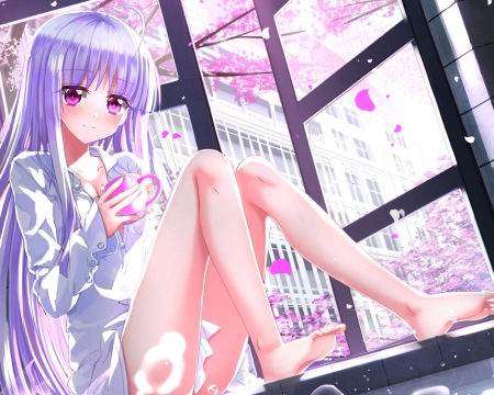 Purple - pretty, anime, kawaii, female, window, scene, long hair, hd, nice, purple hair, anime girl, beautiful, hot, girl, beauty, lovely, sweet, petals, cg, shirt, cute, adorable, sexy