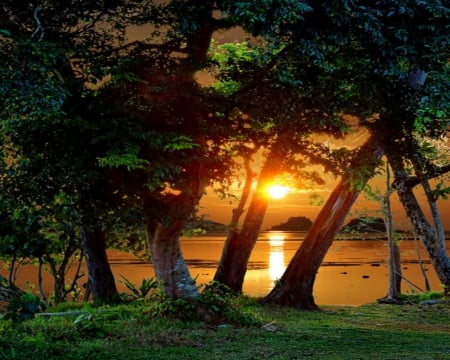 Beautiful Sunset - lake, trees, nature, sunset