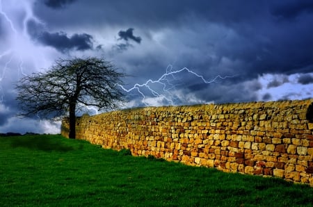 Tree in Lightning Storm - storm, clouds, brick fence, nature, forces of nature, lightning, tree, sky