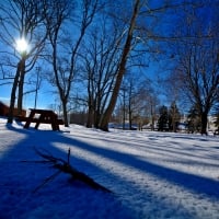 Winter Blue sky