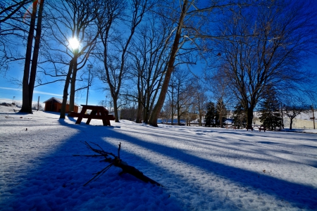 Winter Blue sky - scenic winter, blue sky, Winter Blue sky, winter scene