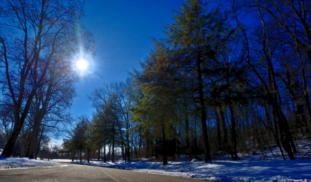 Scenic winter park - Scenic winter park, scenic winter, beautiful winter, blue sky, winter park