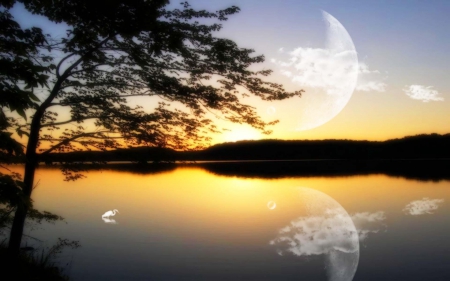 Moon over the Lake - sky, lake, moon, tree, nature